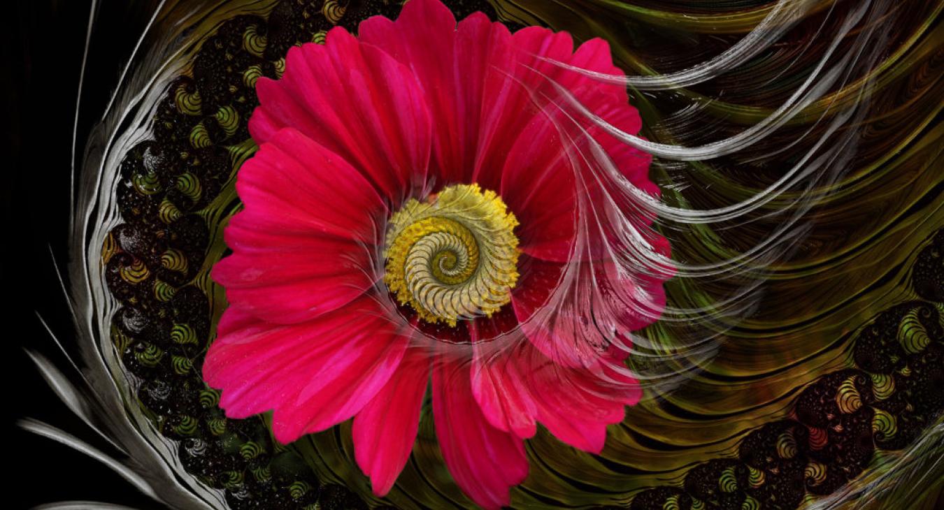 Fantasy Flower